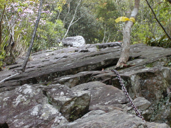 按此在新視窗瀏覽圖片