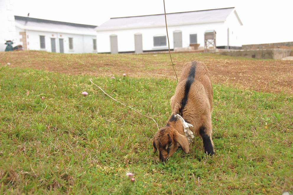 按此在新視窗瀏覽圖片