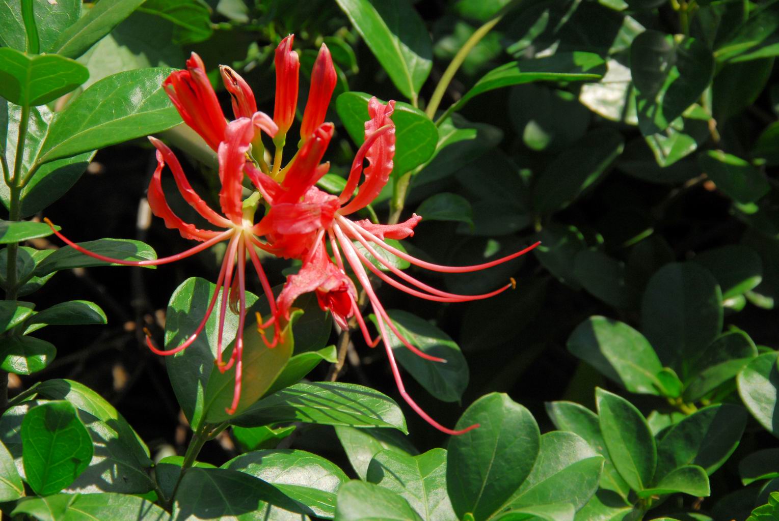 按此在新視窗瀏覽圖片