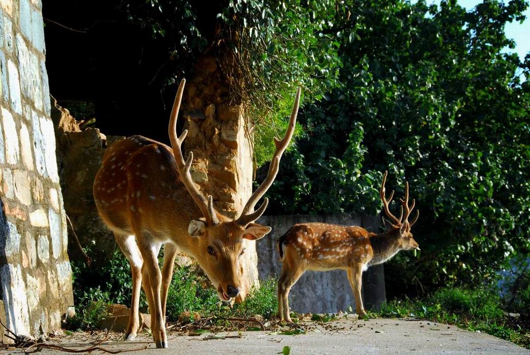 按此在新視窗瀏覽圖片