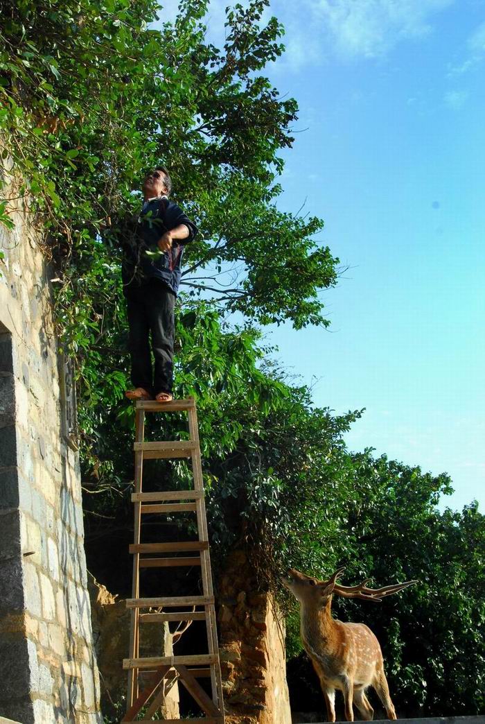 按此在新視窗瀏覽圖片