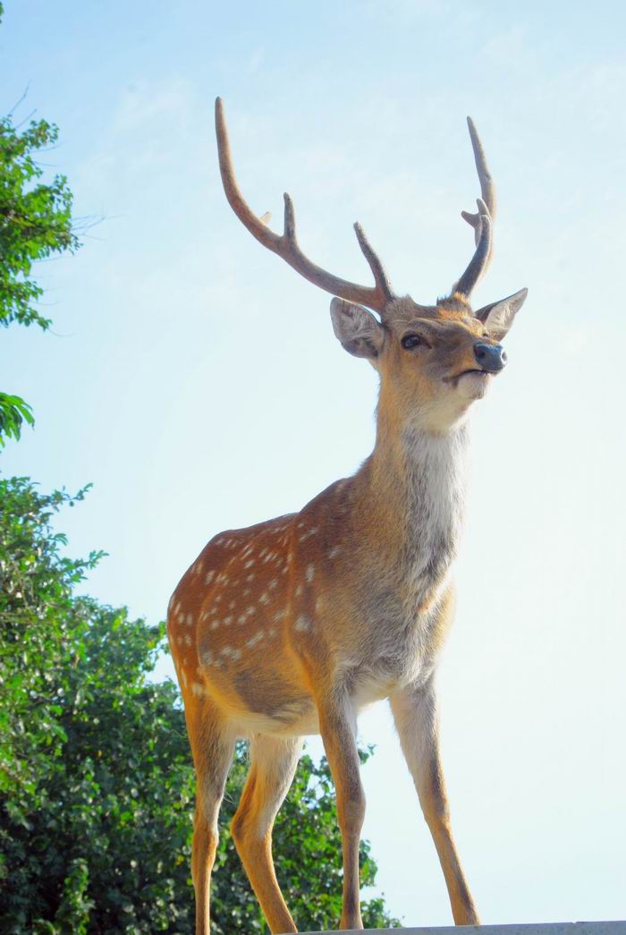 按此在新視窗瀏覽圖片