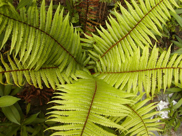 按此在新視窗瀏覽圖片