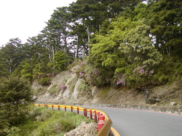 按此在新視窗瀏覽圖片