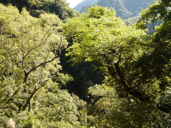 按此在新視窗瀏覽圖片