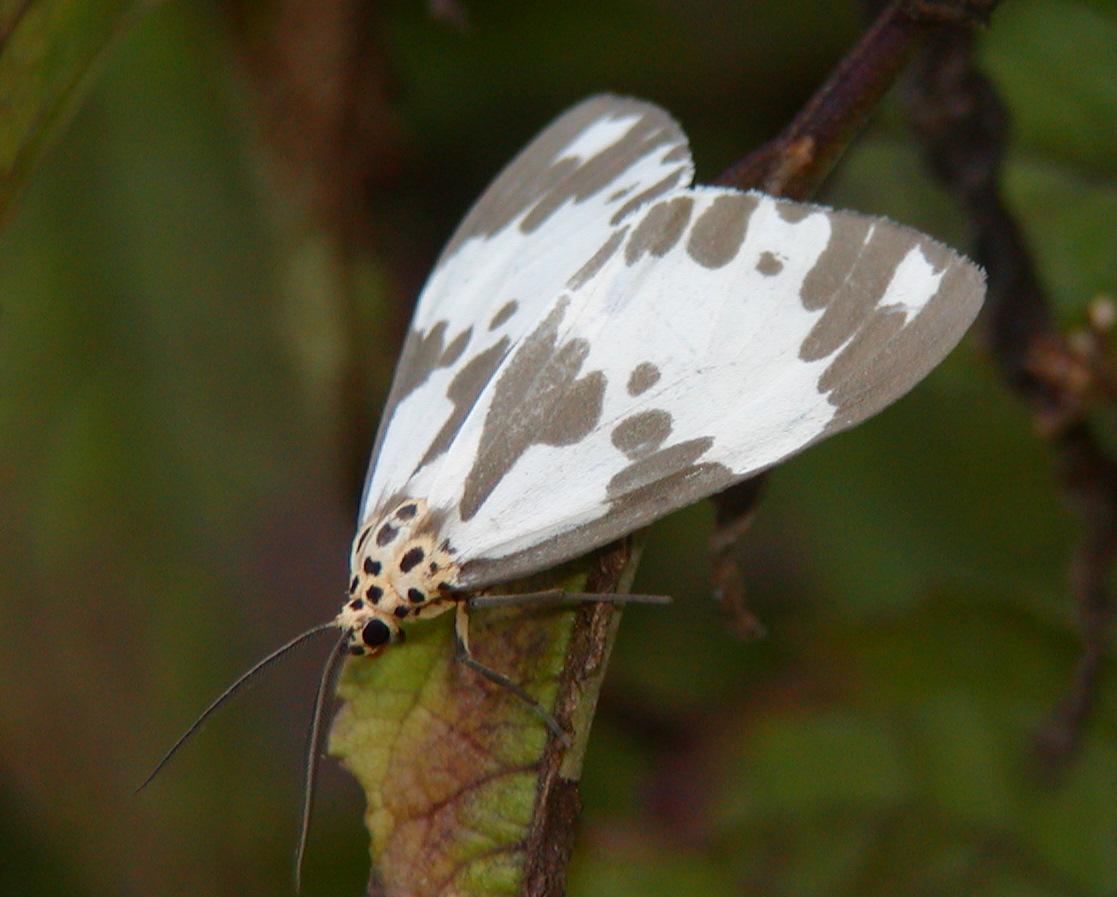 按此在新視窗瀏覽圖片