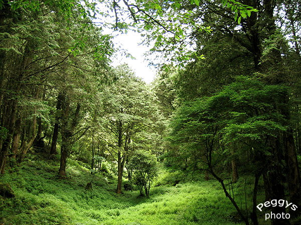 按此在新視窗瀏覽圖片