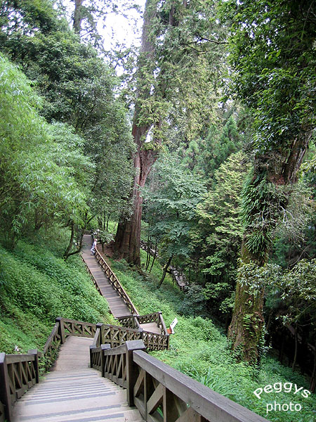 按此在新視窗瀏覽圖片