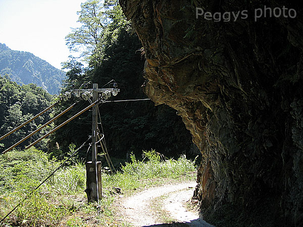 按此在新視窗瀏覽圖片