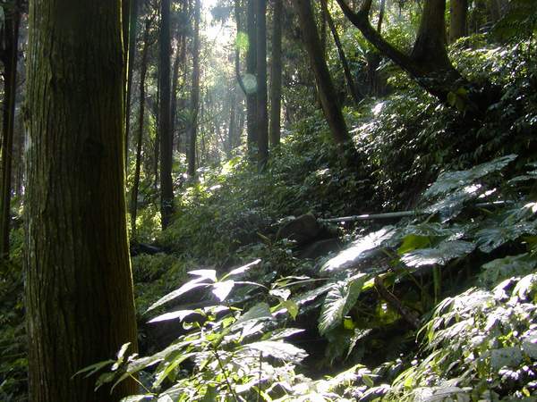 按此在新視窗瀏覽圖片