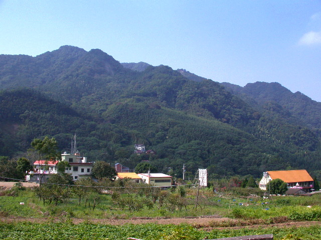 按此在新視窗瀏覽圖片