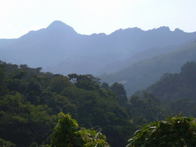 按此在新視窗瀏覽圖片
