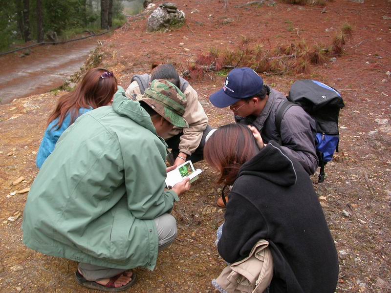 按此在新視窗瀏覽圖片
