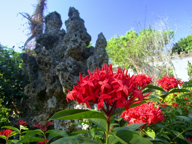 按此在新視窗瀏覽圖片