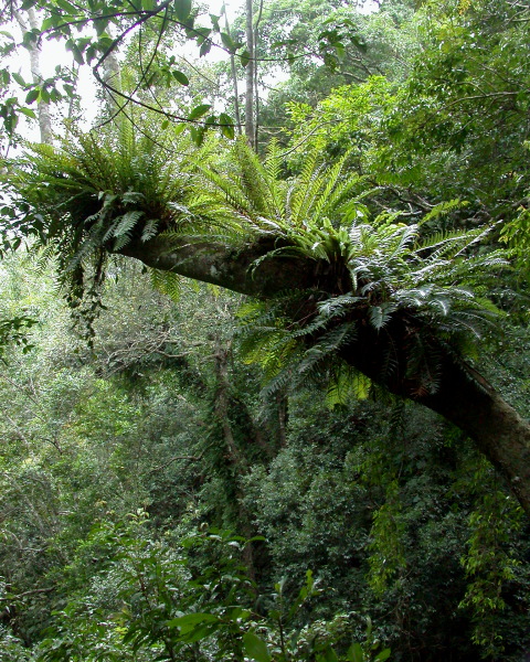 按此在新視窗瀏覽圖片
