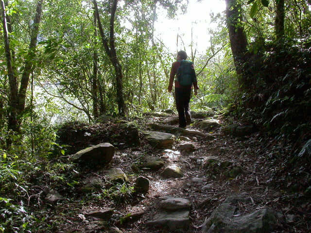 按此在新視窗瀏覽圖片