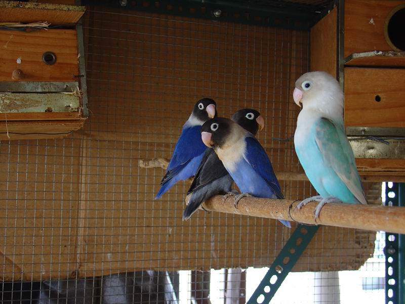 «ö¦¹¦b·sµøµ¡ÂsÄý¹Ï¤ù