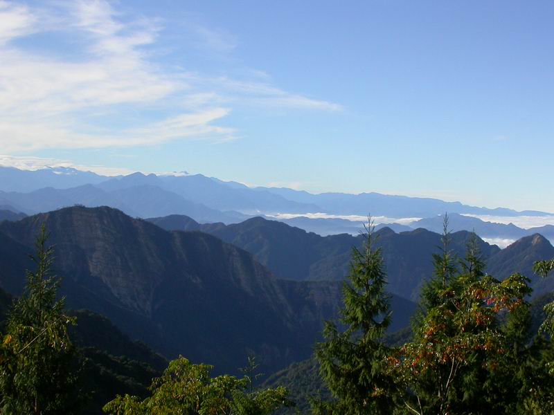 按此在新視窗瀏覽圖片