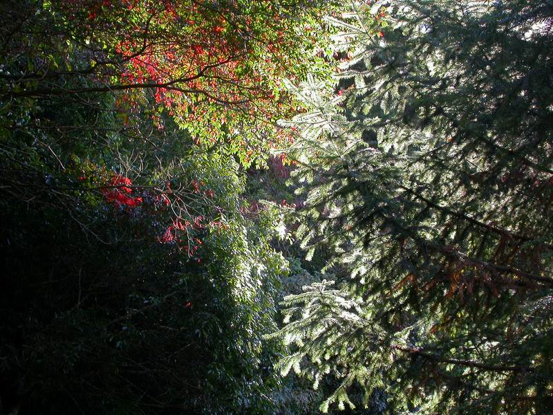 按此在新視窗瀏覽圖片