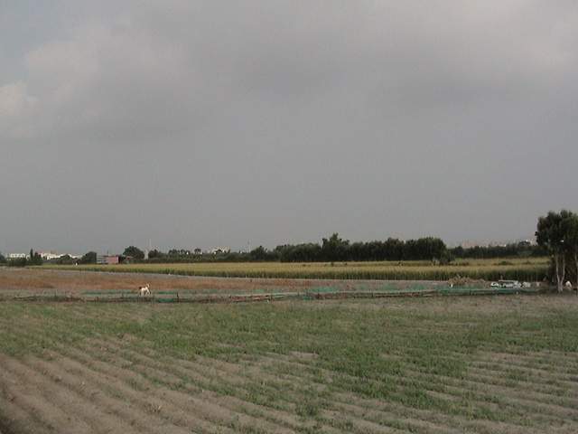 按此在新視窗瀏覽圖片