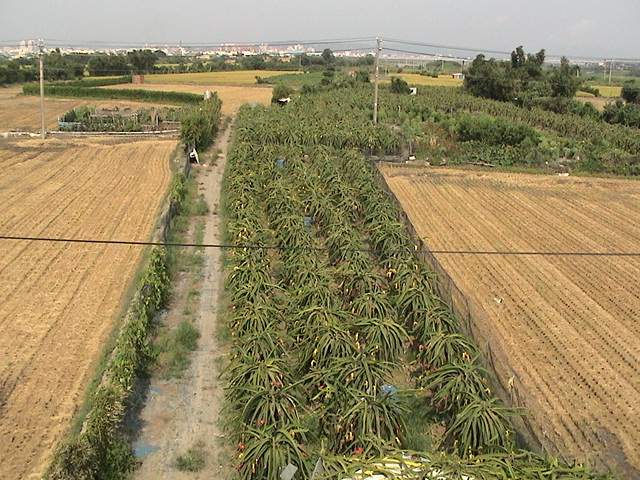 按此在新視窗瀏覽圖片