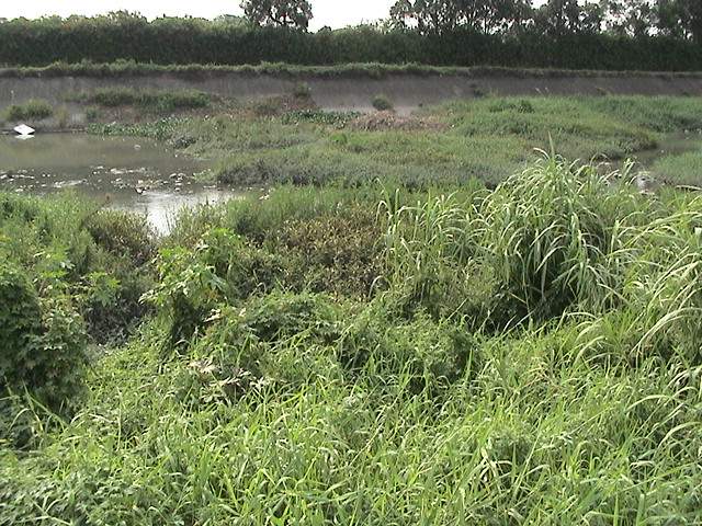 按此在新視窗瀏覽圖片