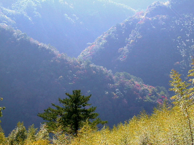 按此在新視窗瀏覽圖片