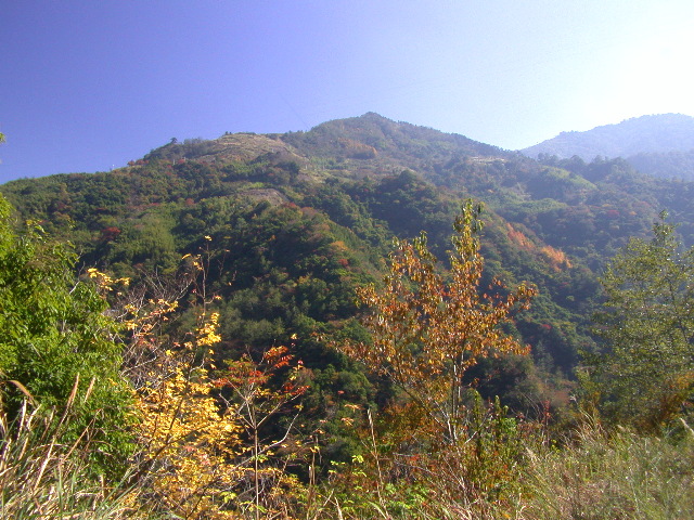 按此在新視窗瀏覽圖片