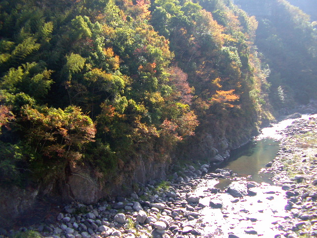 按此在新視窗瀏覽圖片