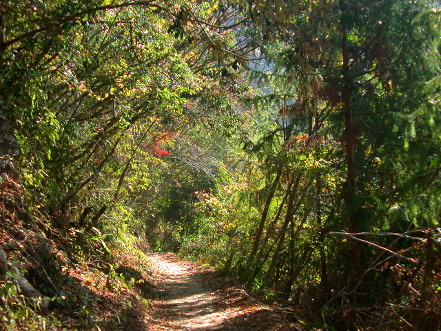 按此在新視窗瀏覽圖片