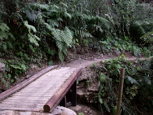 按此在新視窗瀏覽圖片