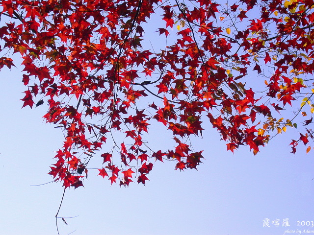 按此在新視窗瀏覽圖片
