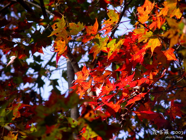 按此在新視窗瀏覽圖片