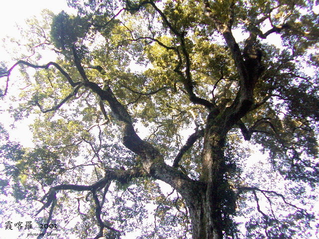 按此在新視窗瀏覽圖片