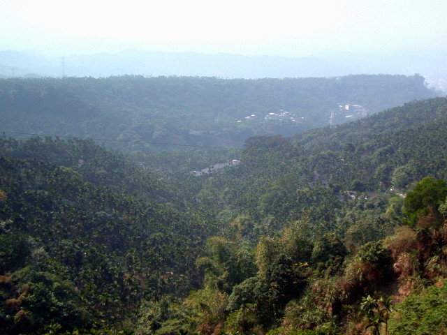 按此在新視窗瀏覽圖片