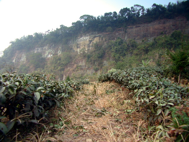 按此在新視窗瀏覽圖片