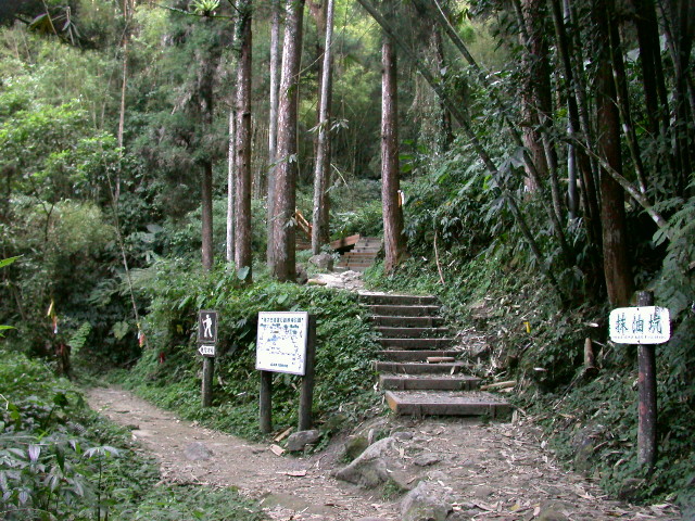 按此在新視窗瀏覽圖片