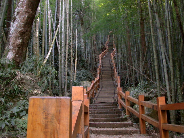 按此在新視窗瀏覽圖片