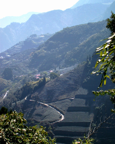 按此在新視窗瀏覽圖片