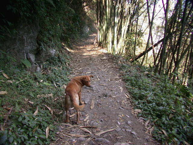 按此在新視窗瀏覽圖片