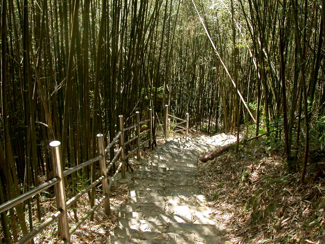 按此在新視窗瀏覽圖片