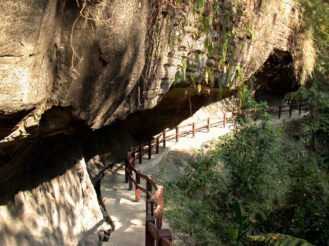 按此在新視窗瀏覽圖片