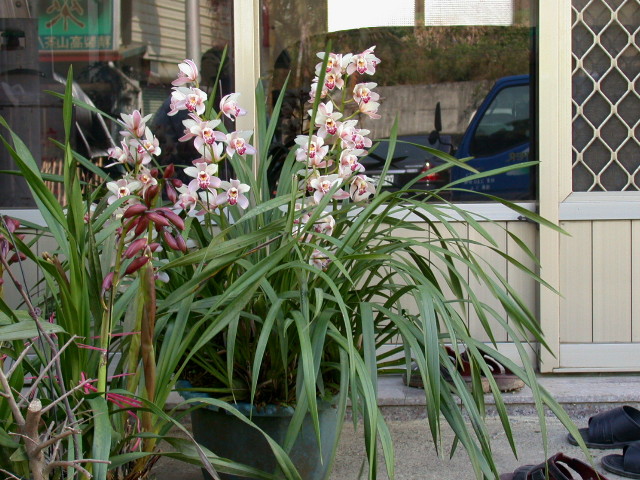 按此在新視窗瀏覽圖片