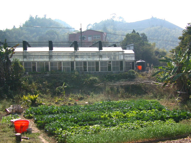 按此在新視窗瀏覽圖片