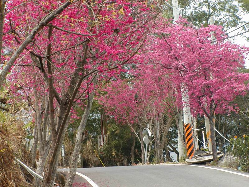 按此在新視窗瀏覽圖片