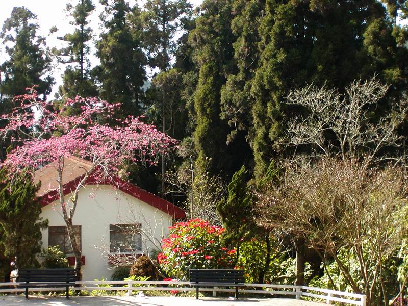 按此在新視窗瀏覽圖片