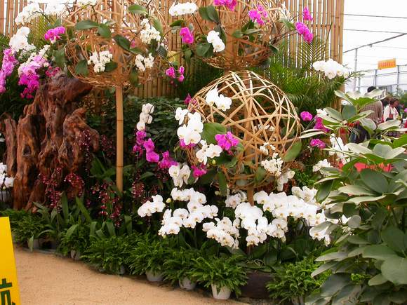 按此在新視窗瀏覽圖片