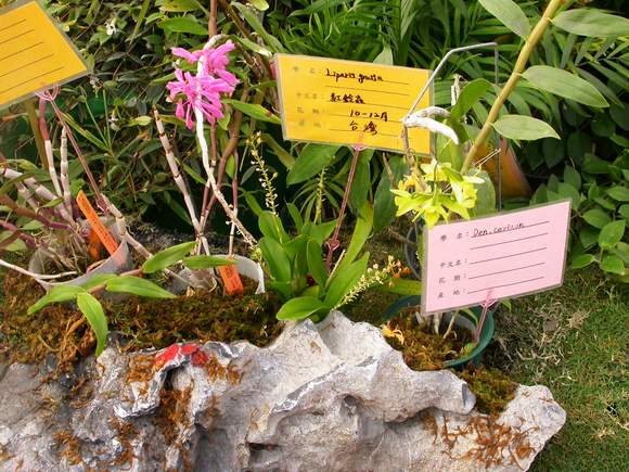 按此在新視窗瀏覽圖片