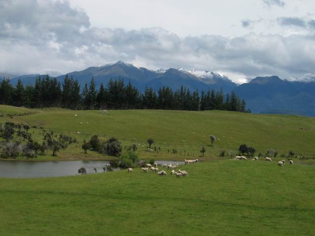 按此在新視窗瀏覽圖片