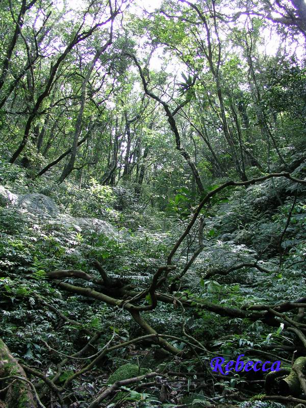 按此在新視窗瀏覽圖片